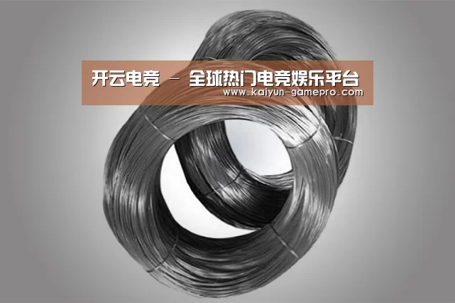 产品展示标题一(图1)