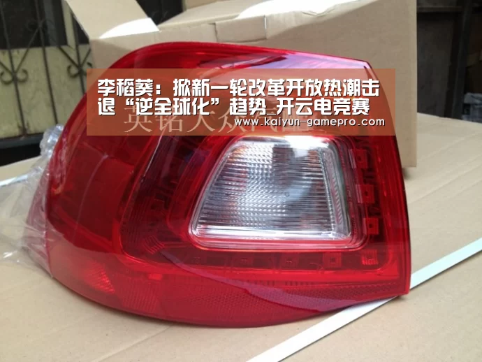 李稻葵:掀新一轮改革开放热潮击退“逆全球化”趋势_开云电竞赛事直播(图2) 开云电竞赛事直播