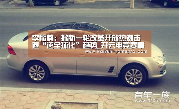 李稻葵:掀新一轮改革开放热潮击退“逆全球化”趋势_开云电竞赛事直播(图3) 开云电竞